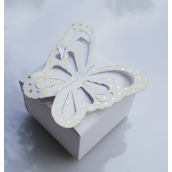 Butterfly box